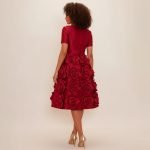 The Floral Appliqué Midi Dress - Image 8