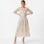 Blush Sheer Embroidered Midi Dress - Image 4