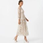 Blush Sheer Embroidered Midi Dress - Image 5